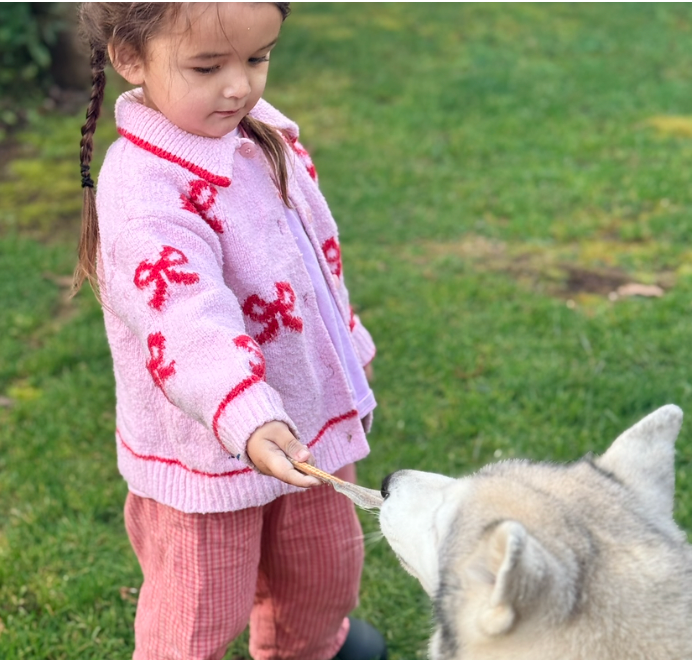 Choosing the Right Treats Matters