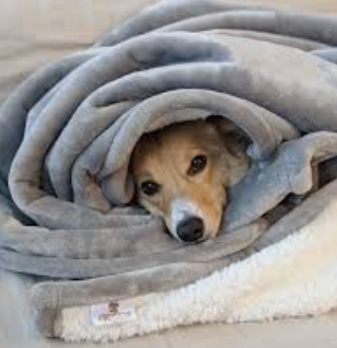 Blankets