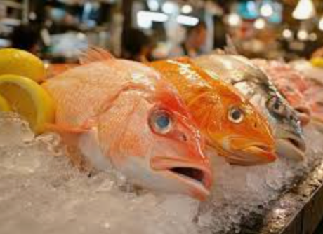 Seafood