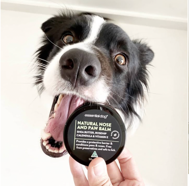 Paw Balm