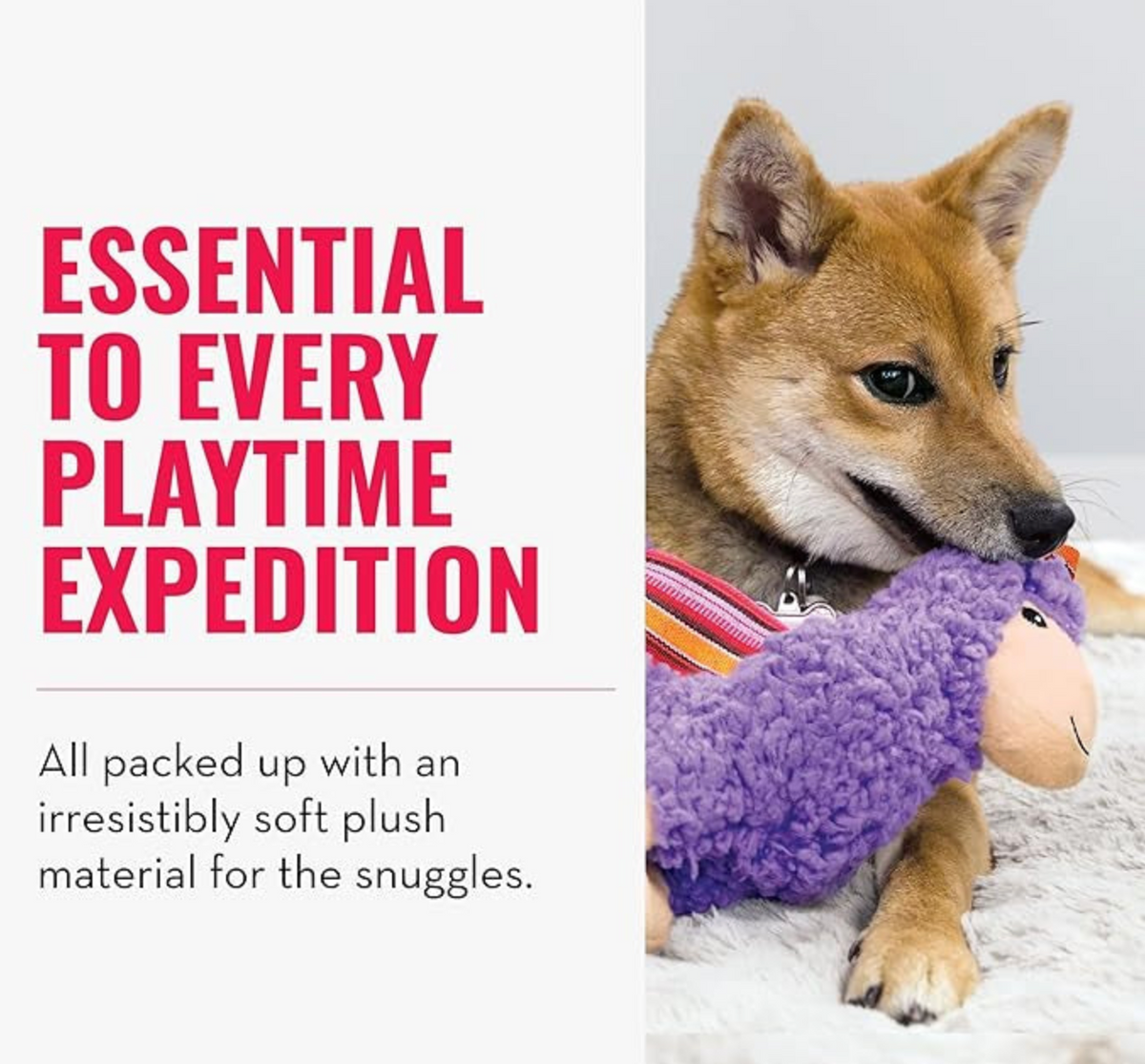 Enrichment Toys