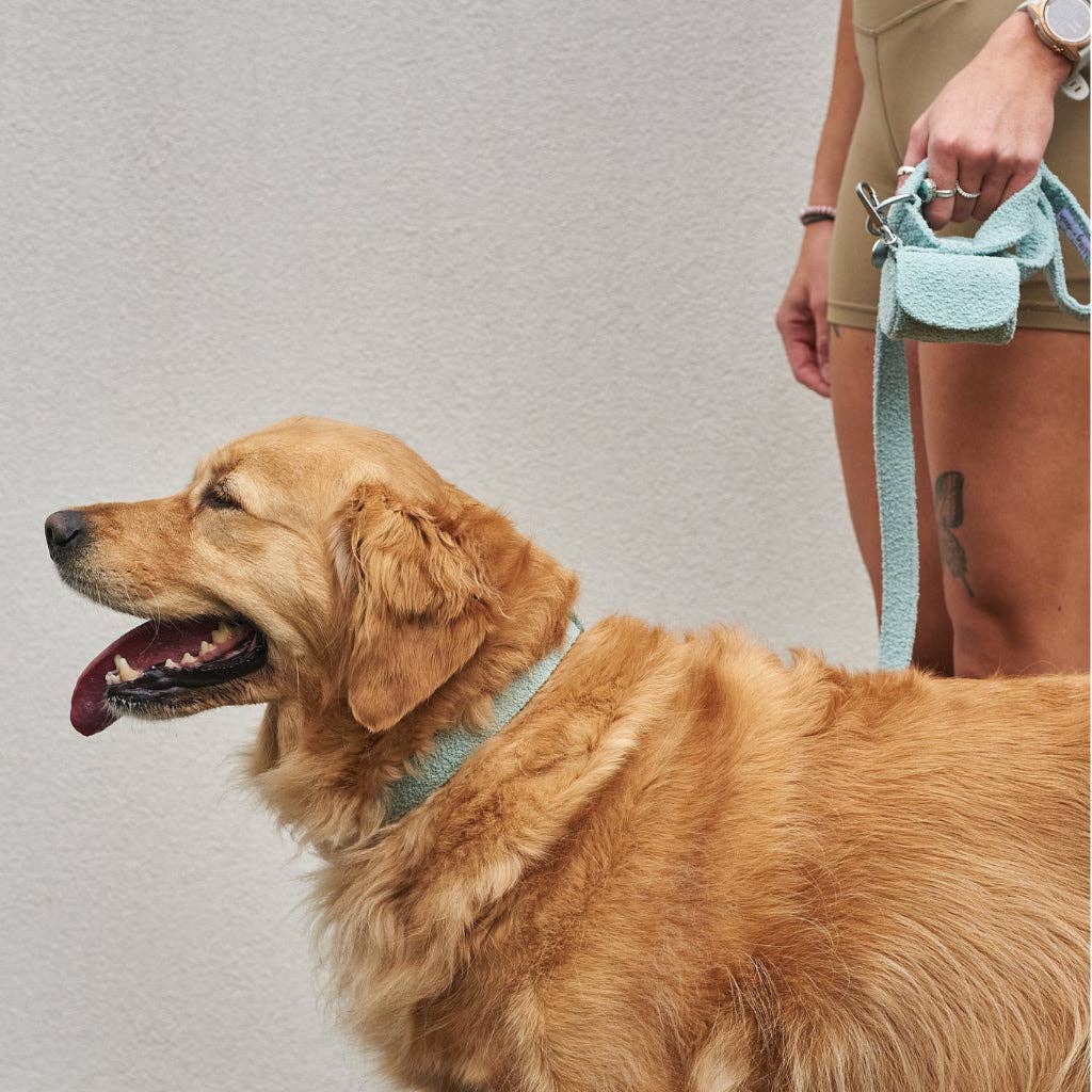 Poop bag holders