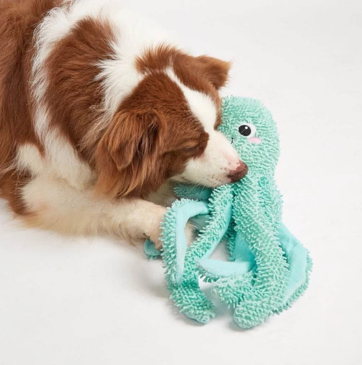 Fofos Sealife Green Octopus