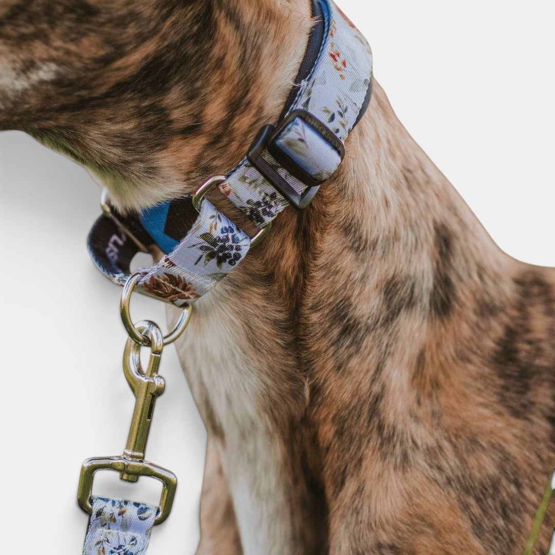 Evergreen Martingale Training Collar
