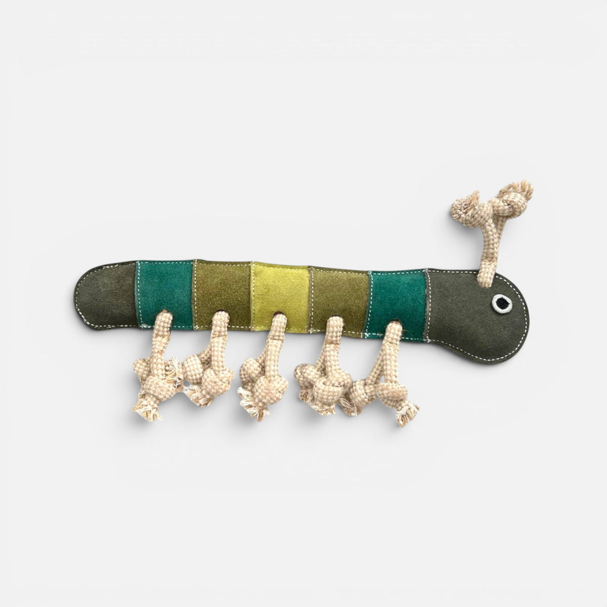 Gerti the Greeny Grub Dog Toy