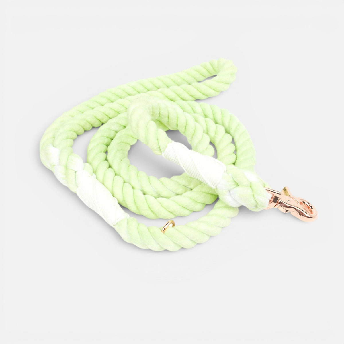 Dog Rope Leash // Kiwi Fruit