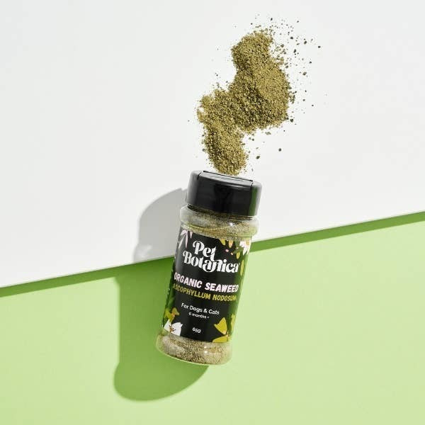 Organic Seaweed Meal Topper for Dogs & Cats - Dental Support