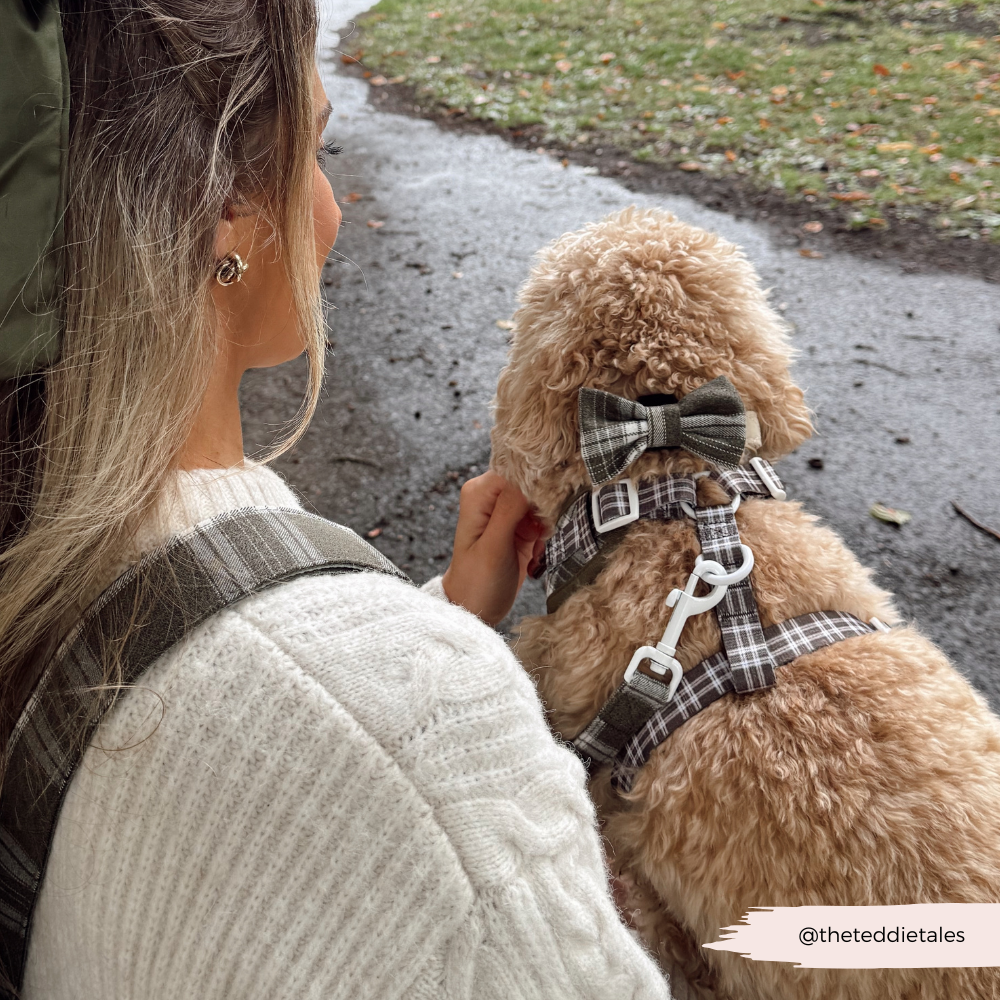 Bag Strap - Olive Check