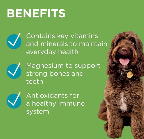 Paw Wellness + Vitality Chew