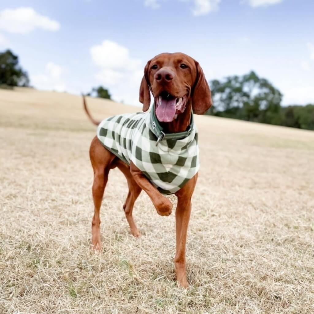 The Floofy Fleece - Green Gingham