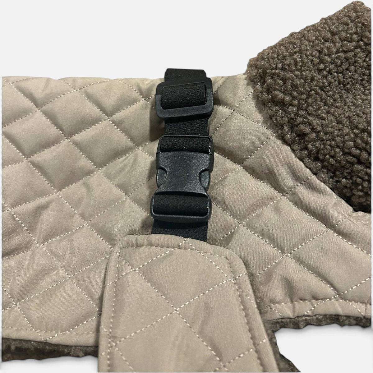 The Snuggie - Water shower proof Dachshund jacket