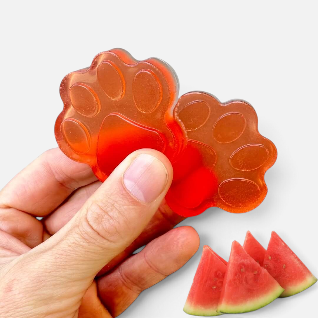 The Dog Emporium watermelon superfood jelly treats shaped like red paw prints held in a hand with watermelon slices