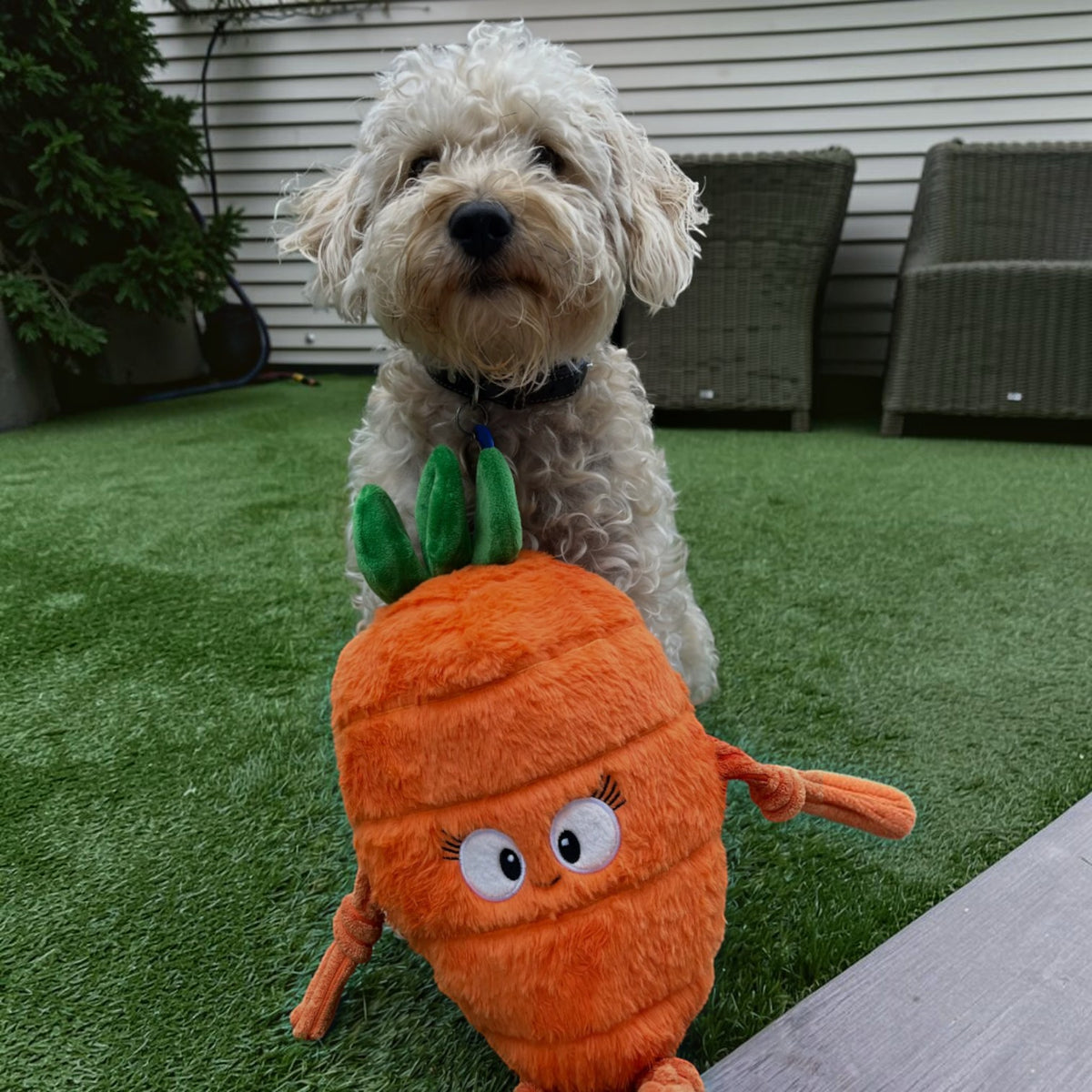 Pals for paws™Carrot Plush Dog Toy-100% recycled Materail