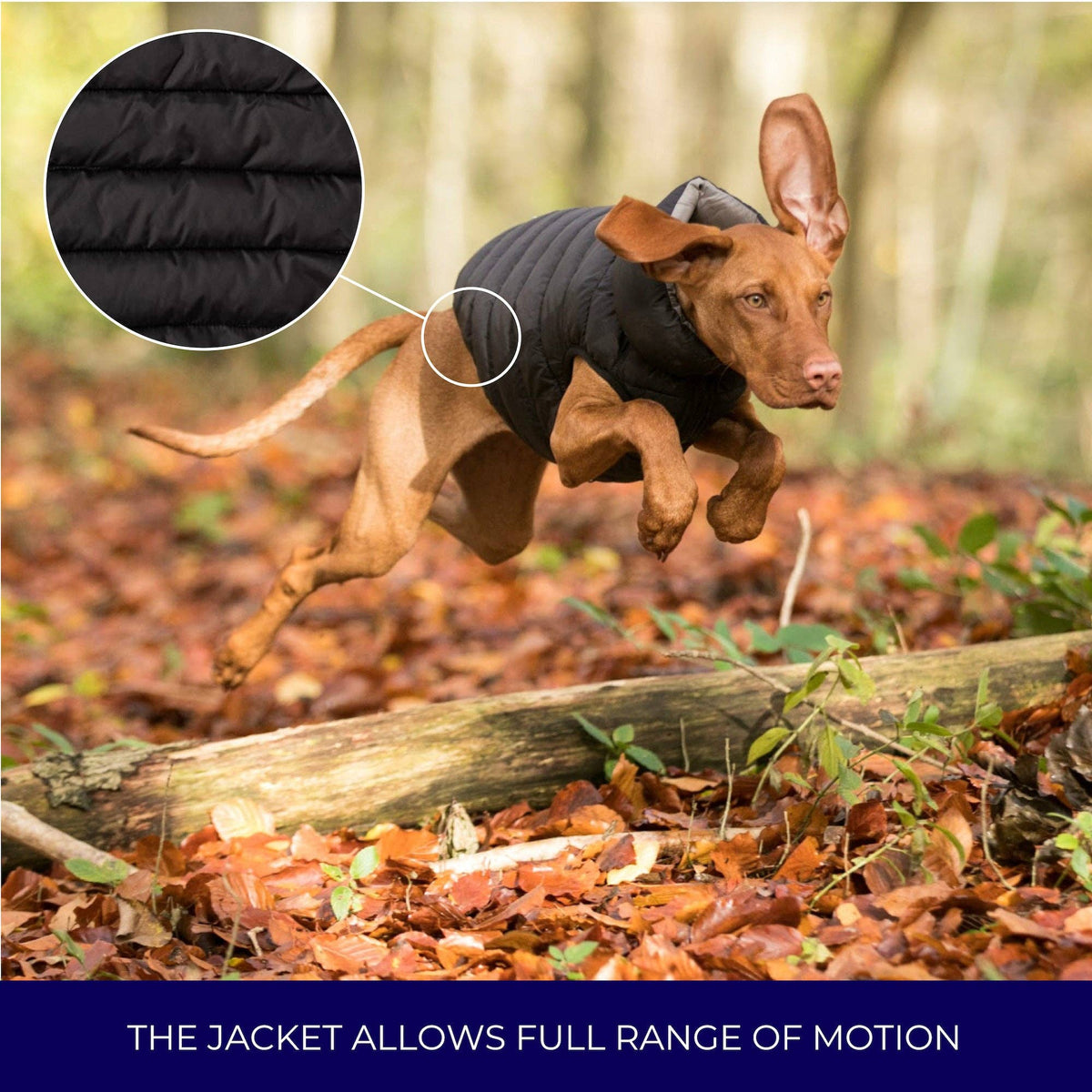 Reversible Dog Puffer Jacket - Black and Grey