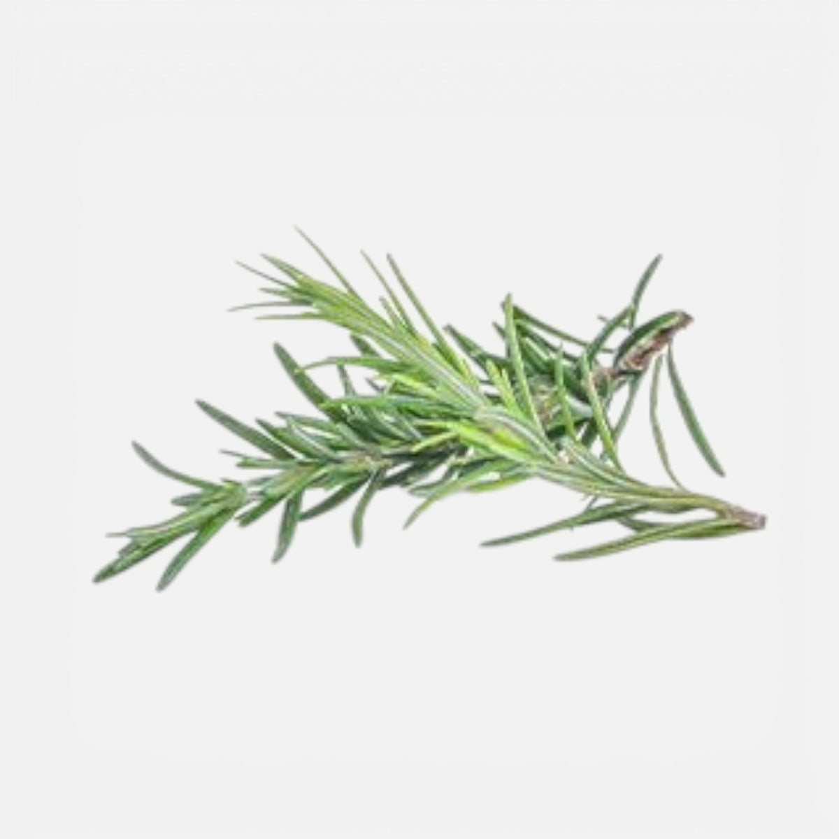 SPD™ Fresh Roll Lamb & Rosemary 2kg