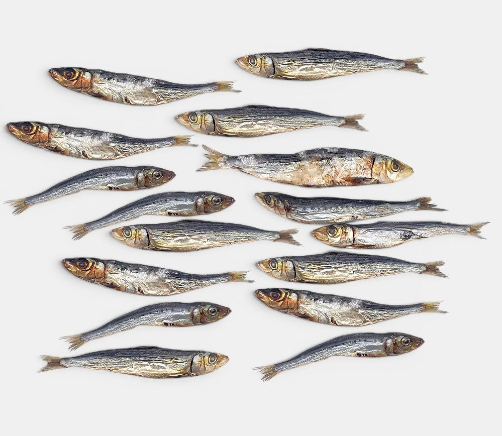 Australian Sardines