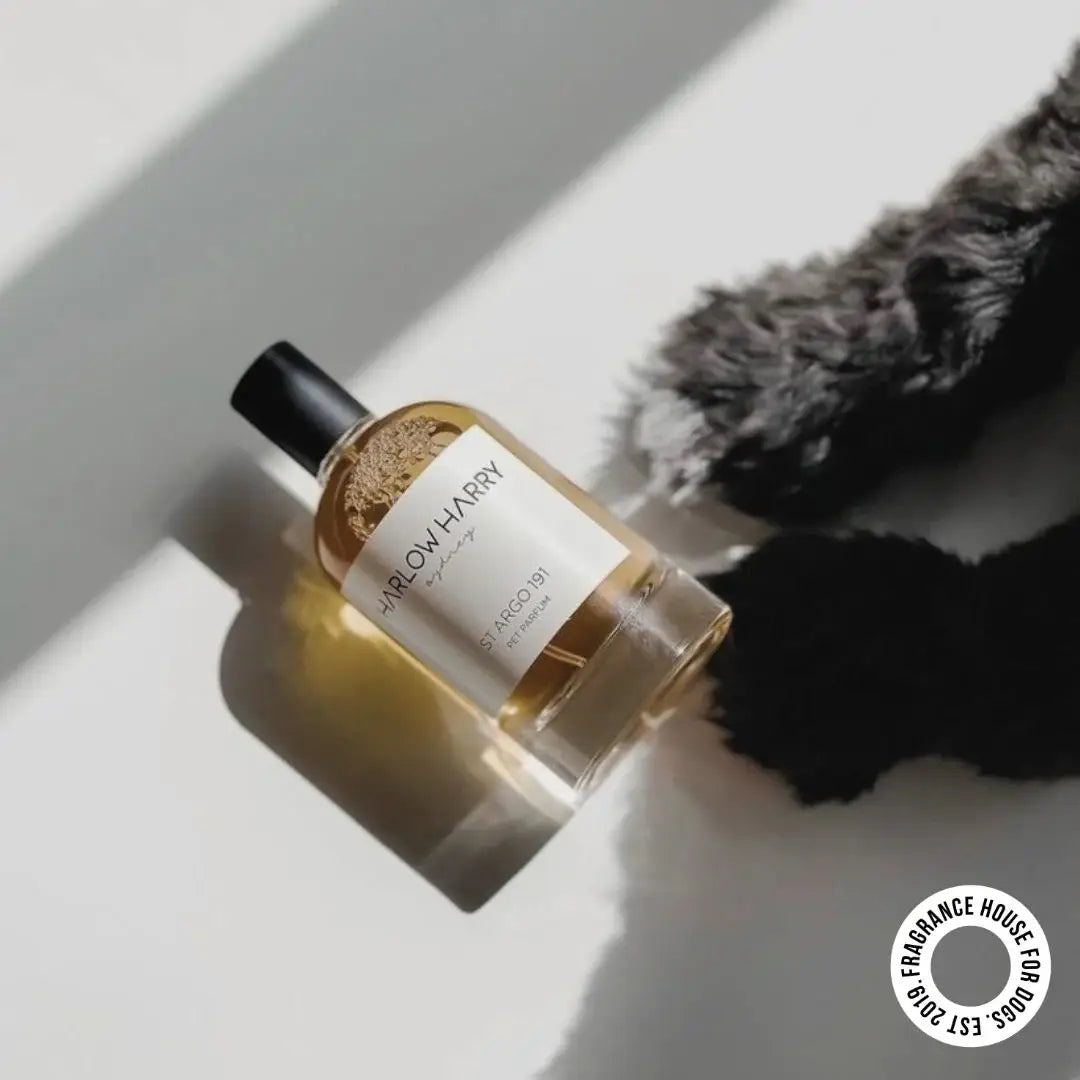Dog Perfume | Solera 145