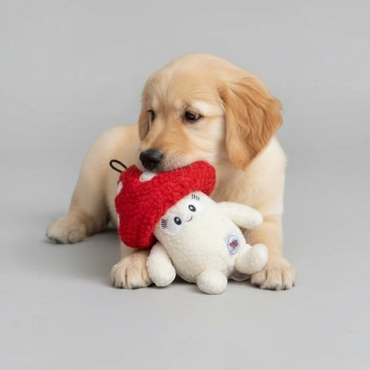 Tiny the toadstool-treat hiding plush dog toy-Eco friendly