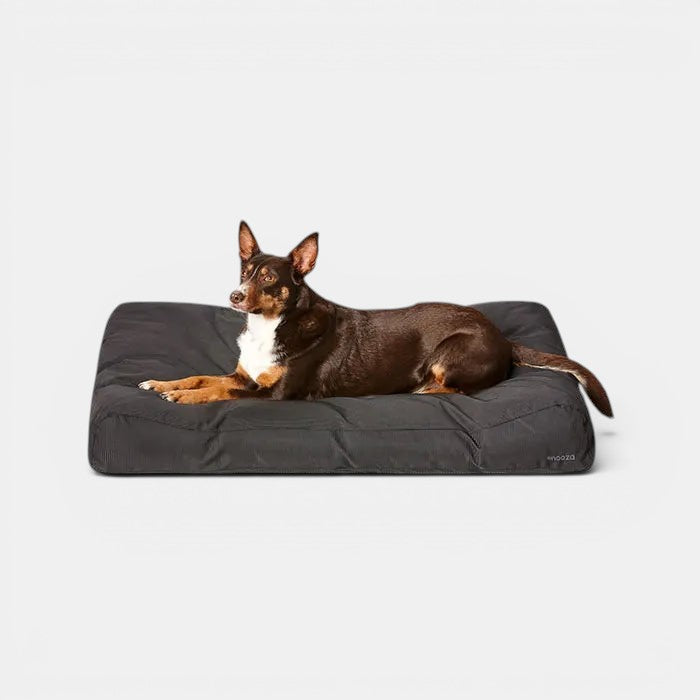 Tough Lounger