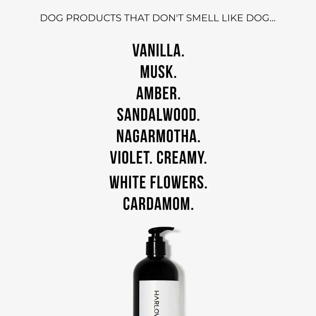 2-in-1 Conditioning Dog Shampoo | Bellevue 162