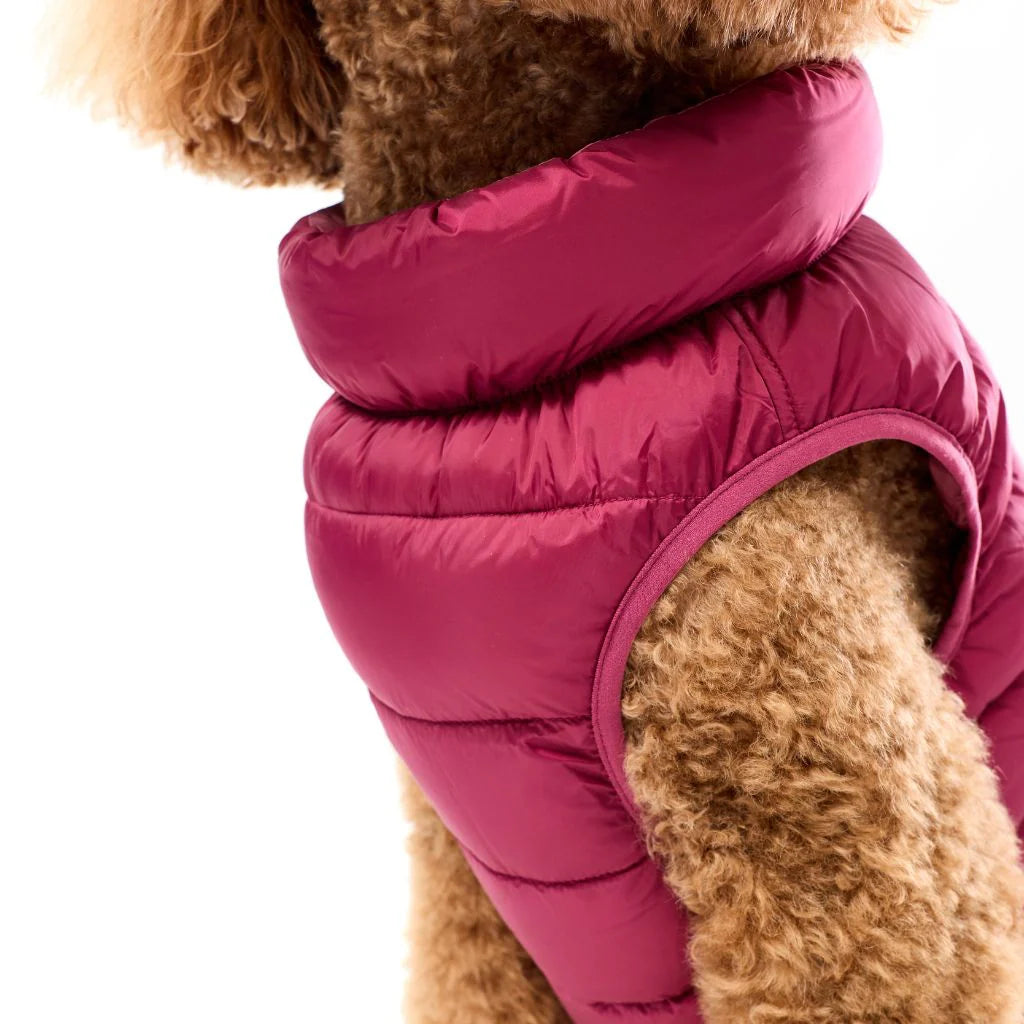 Back Zipper Puffer Jacket with Harness Hole - Berry