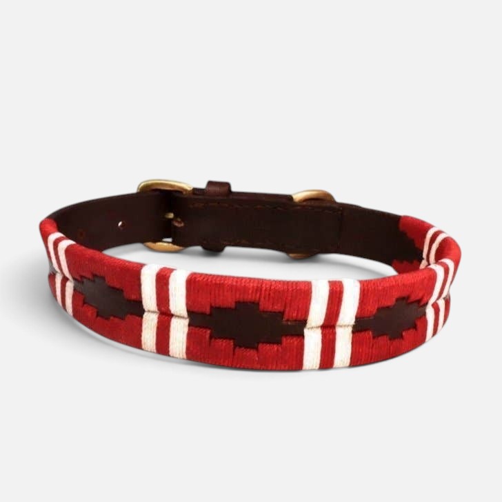Polo Collar - Kaliman