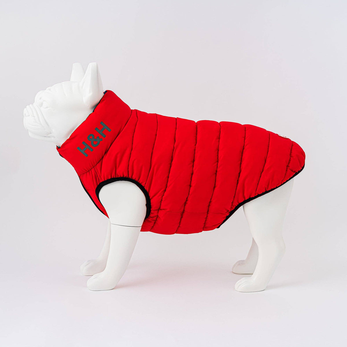 Reversible Dog Puffer Jacket - Red and Navy