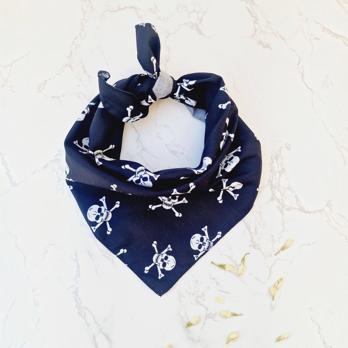 Black Skulls Puppy Dog Bandana - Handmade