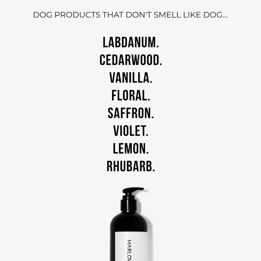2-in-1 Conditioning Dog Shampoo | D'bacca 169