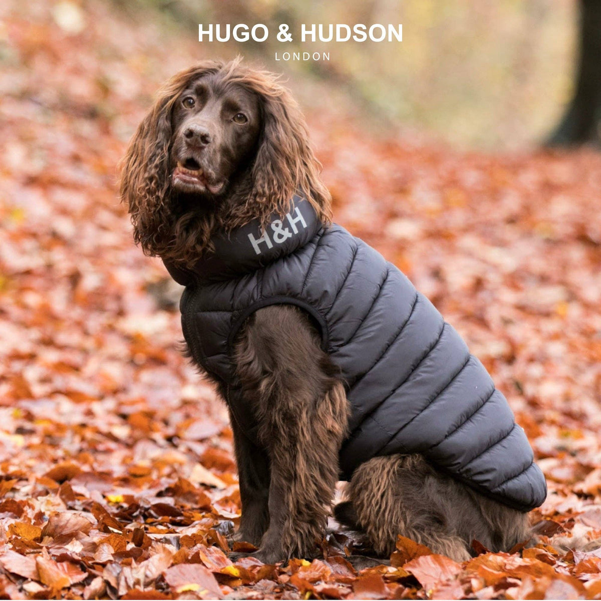 Reversible Dog Puffer Jacket - Black and Grey