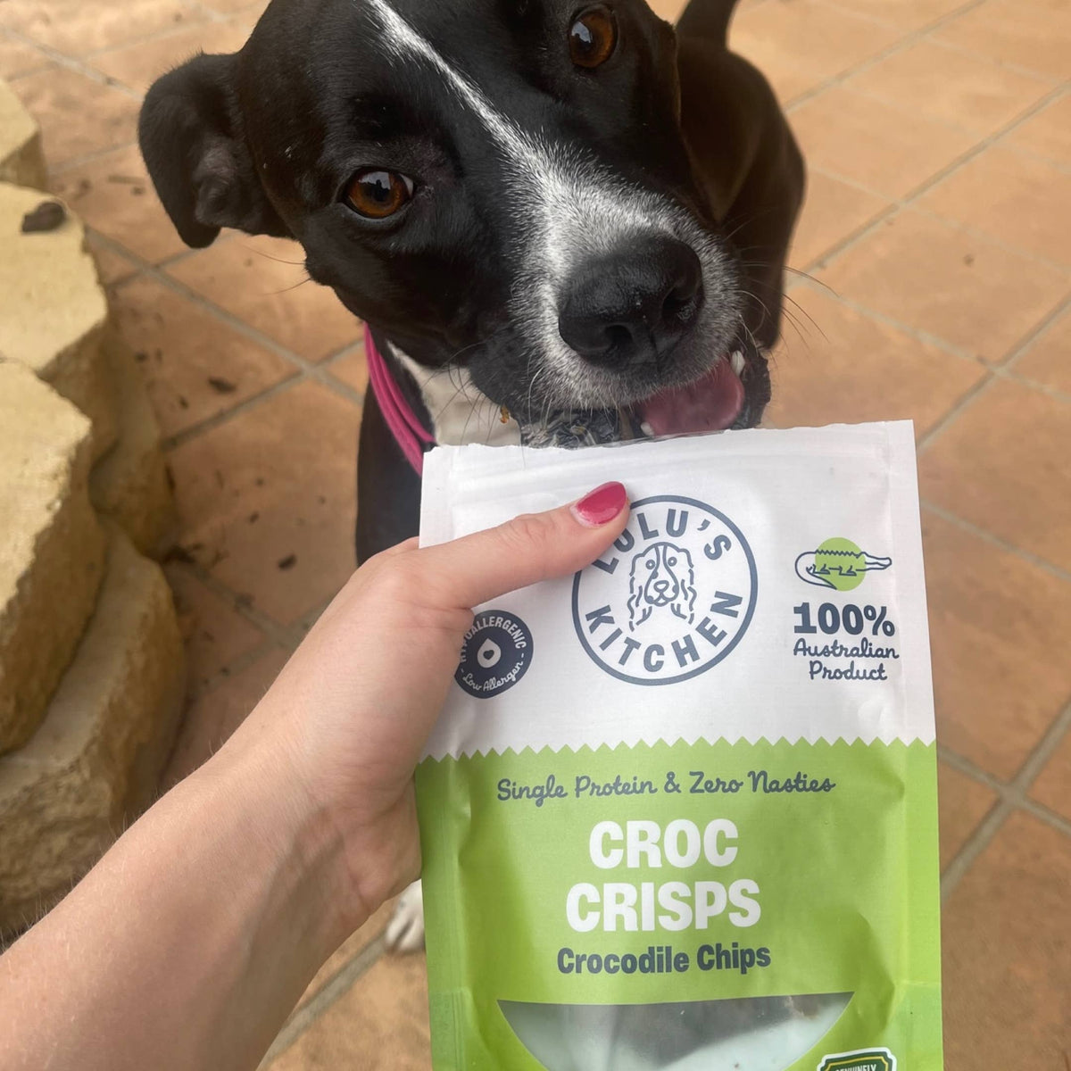 Croc Crisps - Crocodile Chips - New