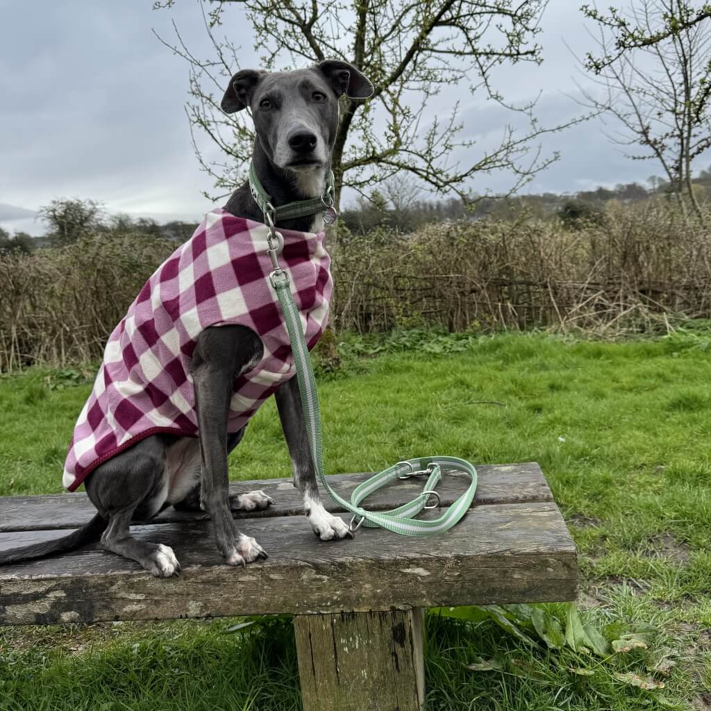 The Floofy Fleece - Berry Gingham