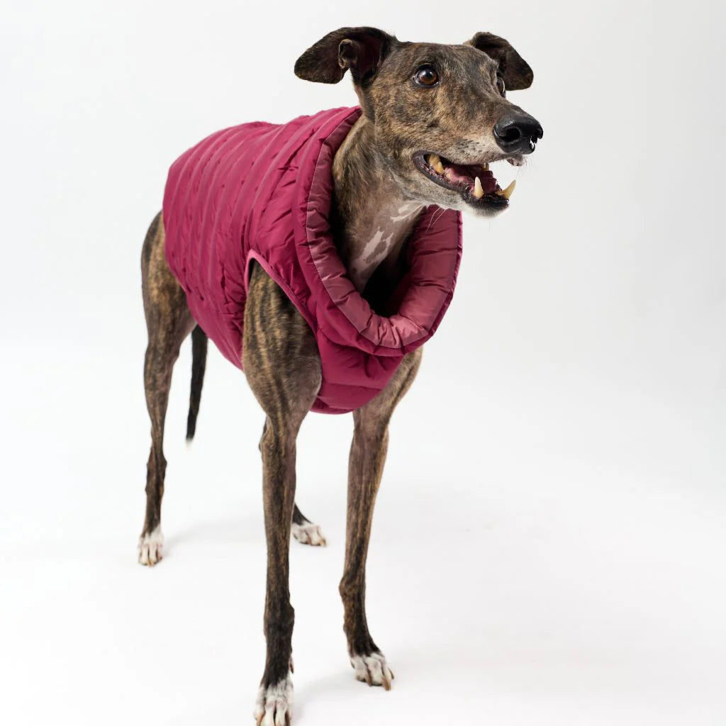 Back Zipper Puffer Jacket with Harness Hole - Berry