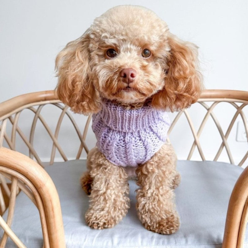 DOGUE Cable Knit Dog Jumper
