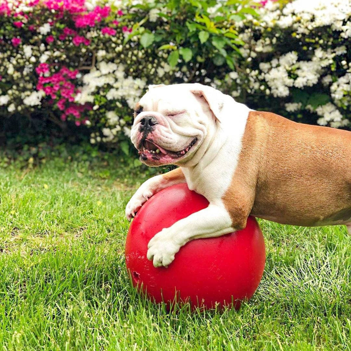 Push-n-Play