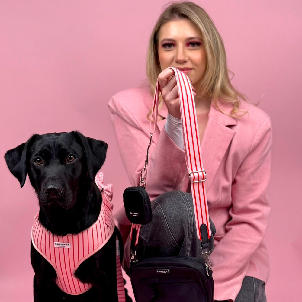 Bag Strap - Candy Stripe