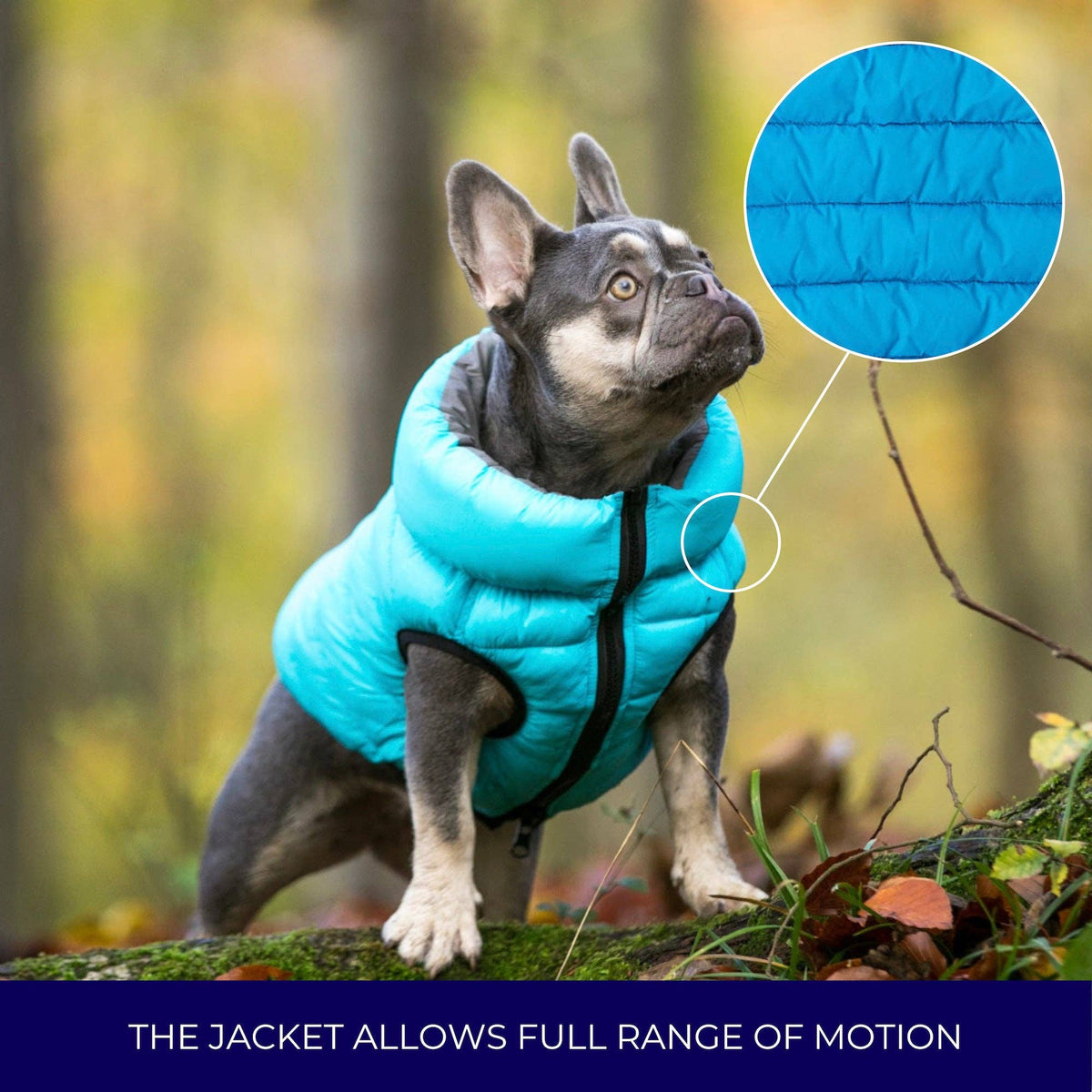 Reversible Dog Puffer Jacket - Light Blue and Grey