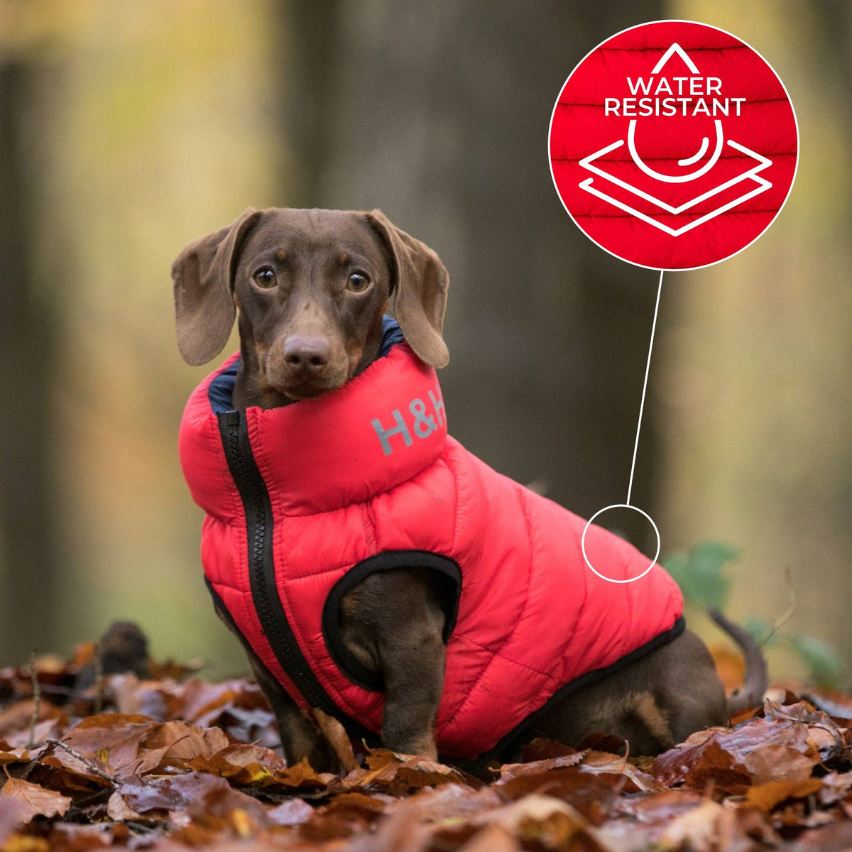 Reversible Dog Puffer Jacket - Red and Navy