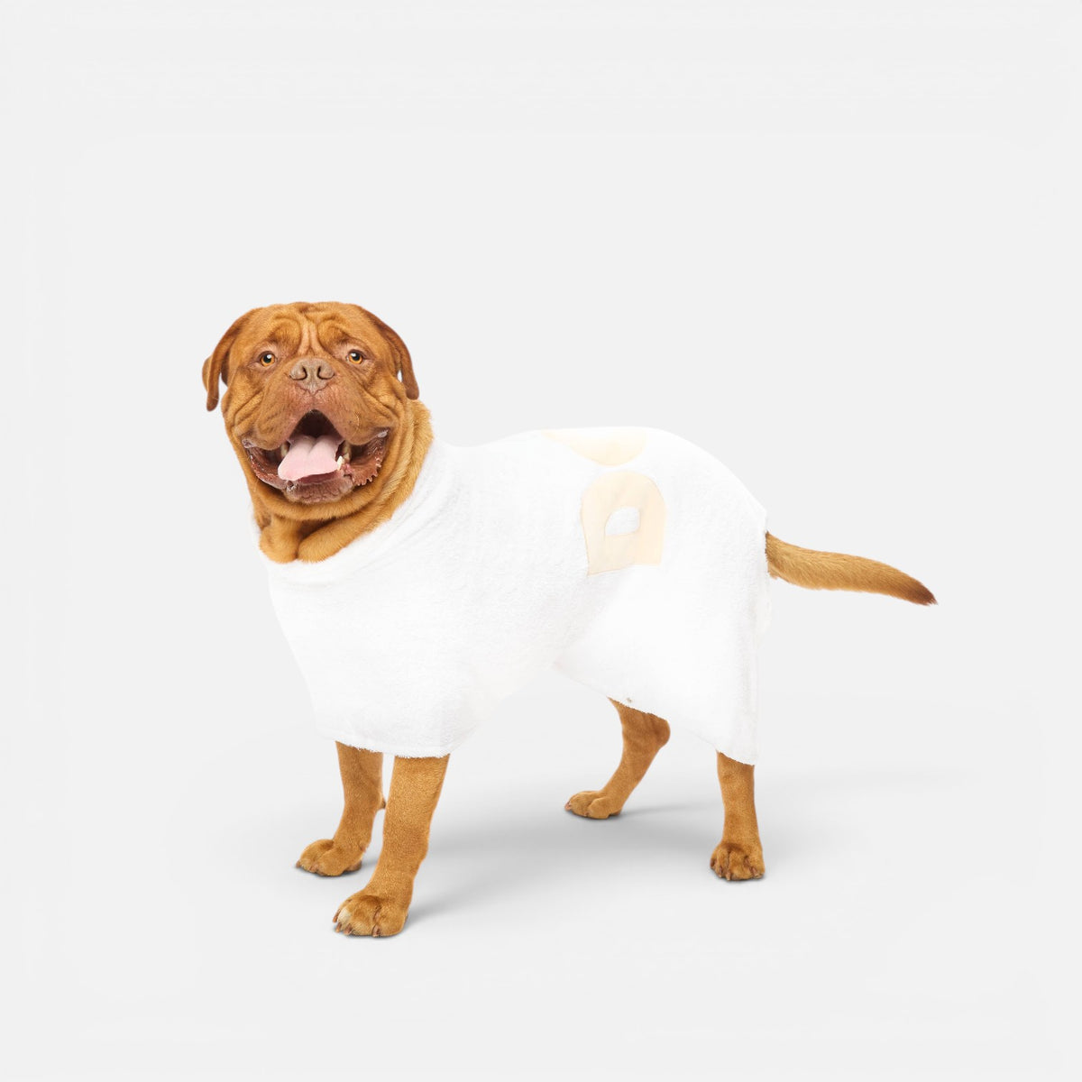 DOG Poncho