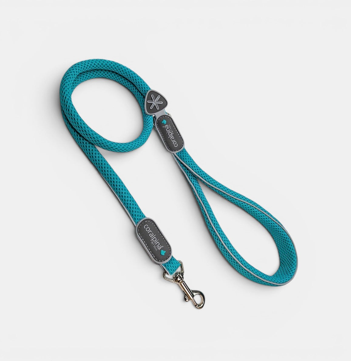 Cinqetorri Lead