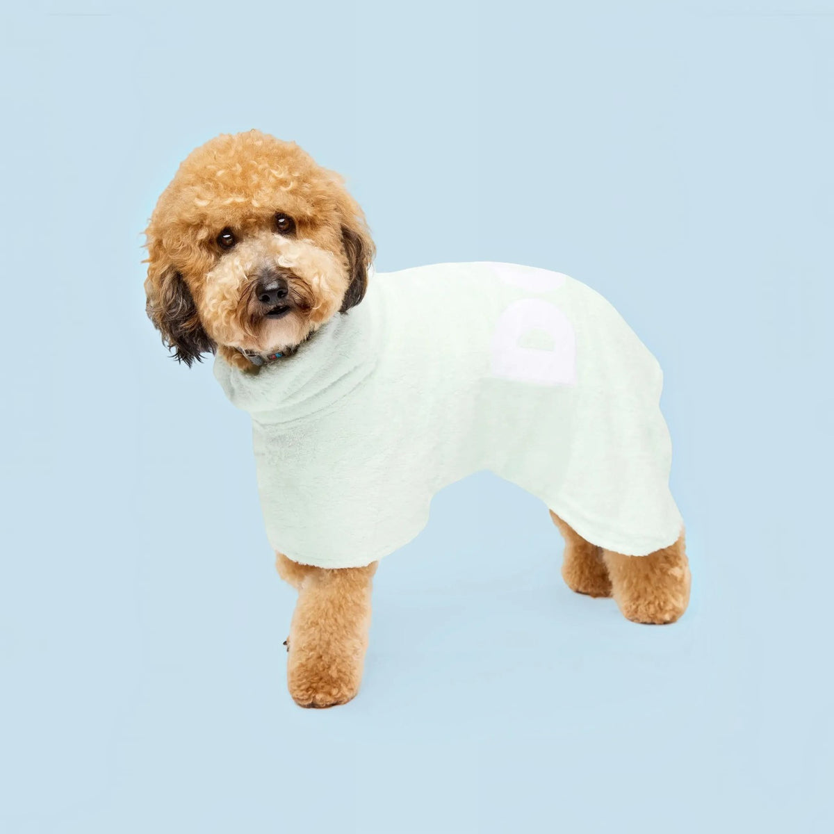 DOG Poncho
