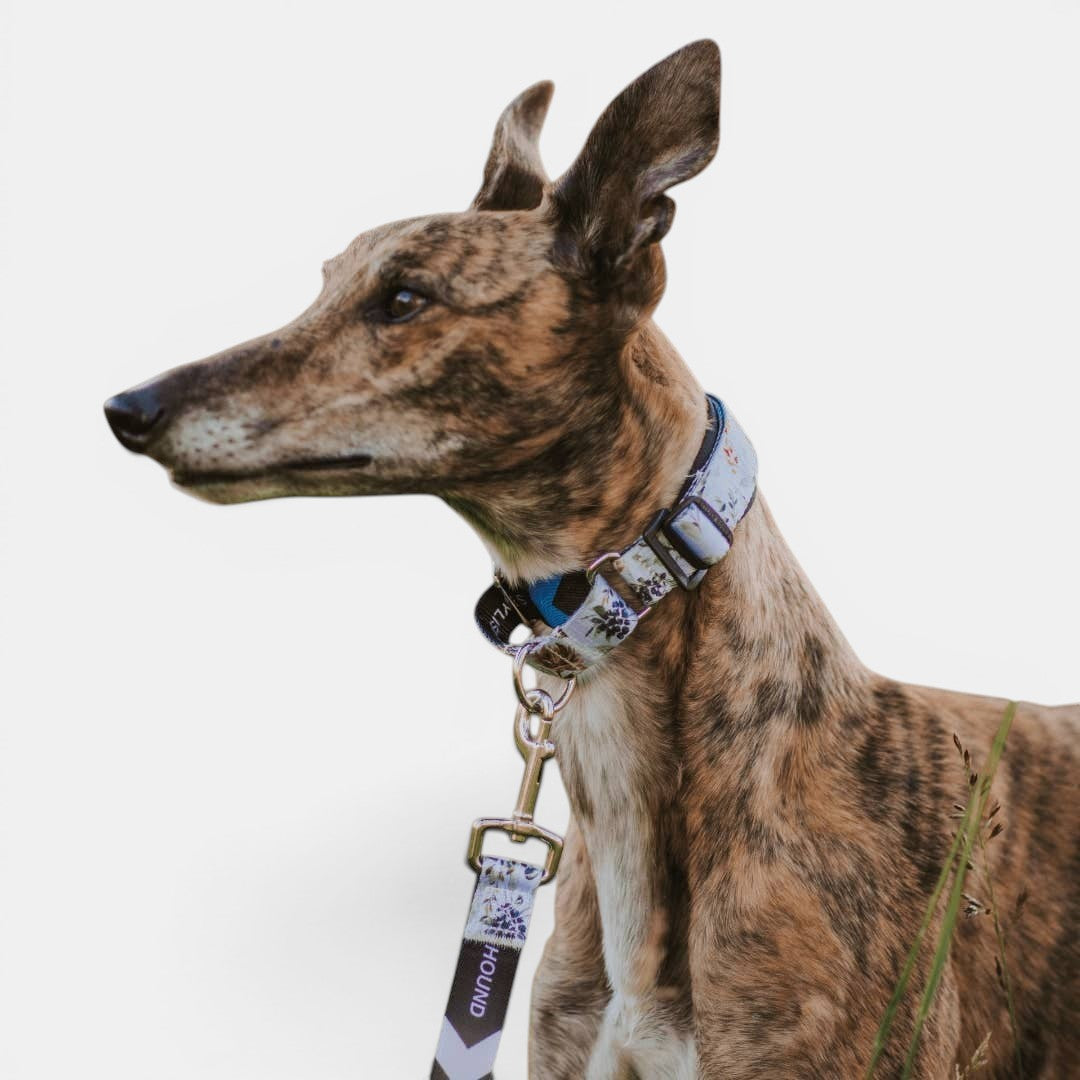 Evergreen Martingale Training Collar