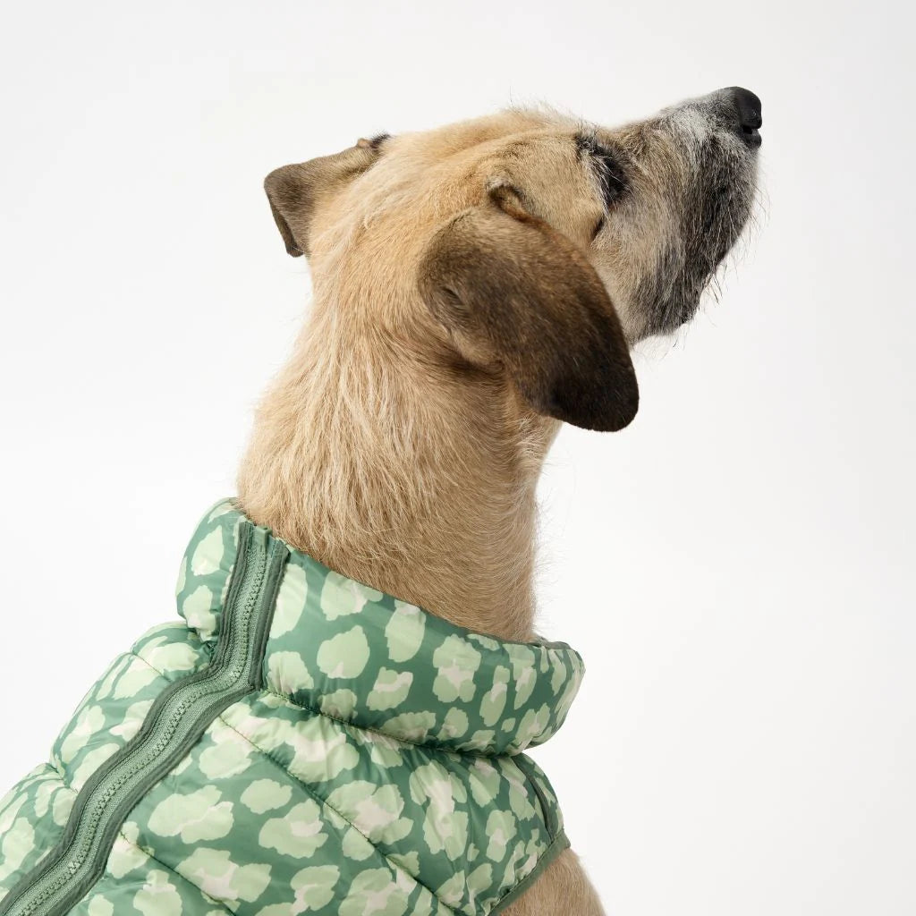 Reversible Dog Back Zipper Puffer Jacket with Harness Hole - Forest Green / Animal Print