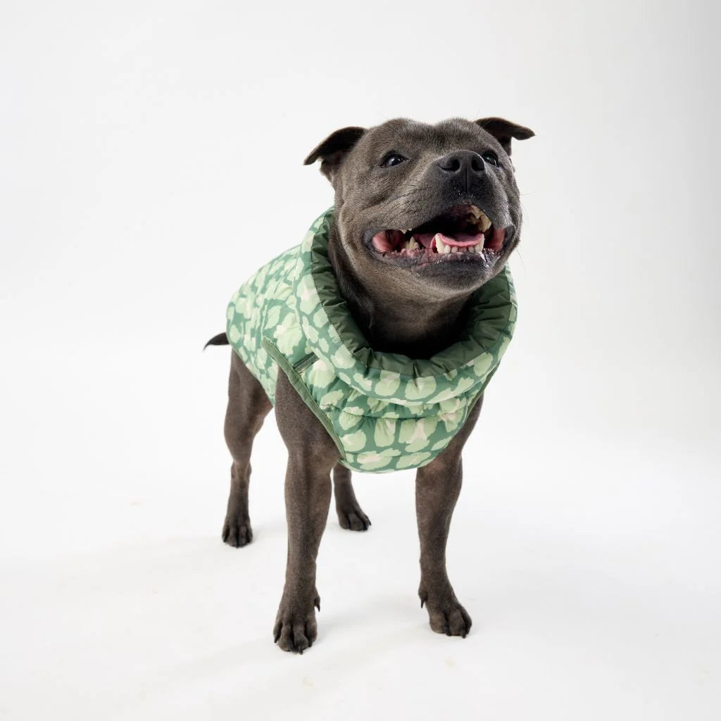 Reversible Dog Back Zipper Puffer Jacket with Harness Hole - Forest Green / Animal Print
