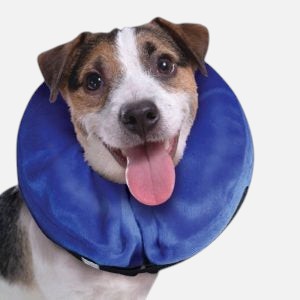 KONG Cloud Inflatable Collar