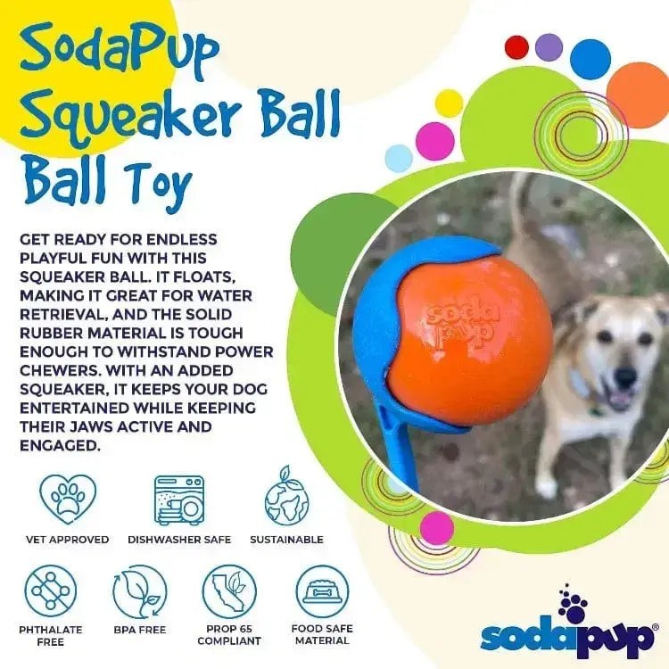 Glow in the Dark Squeak Ball (Chew & Retrieval Toy)