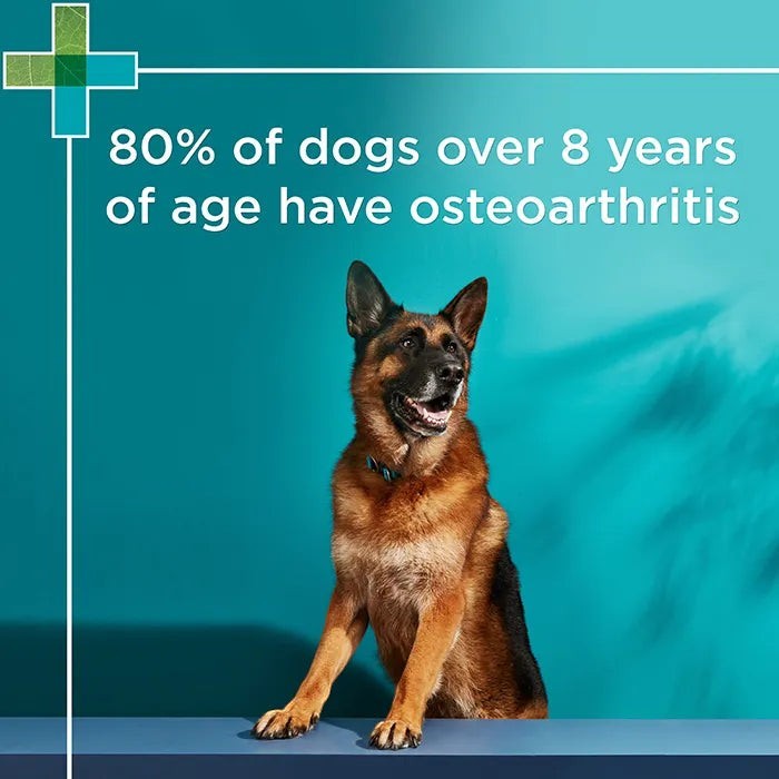 Paw Osteosupport