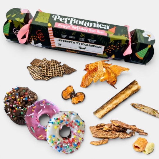 Dog Birthday Bon Bon | Birthday gift for dogs