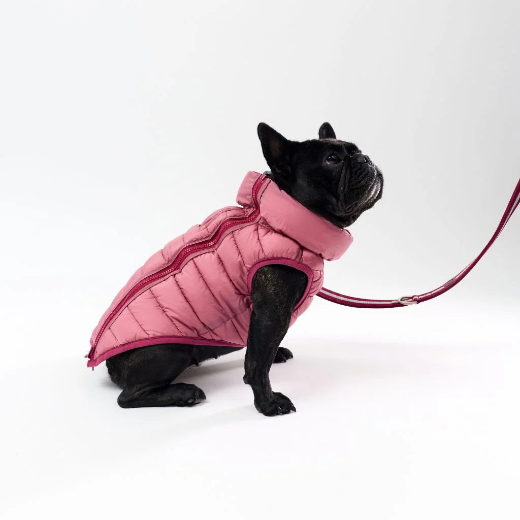 Back Zipper Puffer Jacket with Harness Hole - Berry