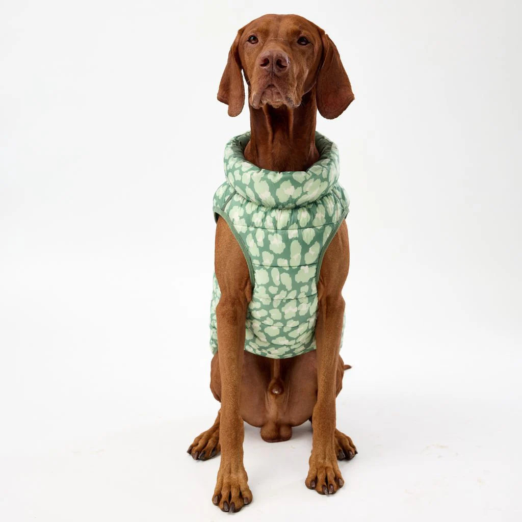 Reversible Dog Back Zipper Puffer Jacket with Harness Hole - Forest Green / Animal Print